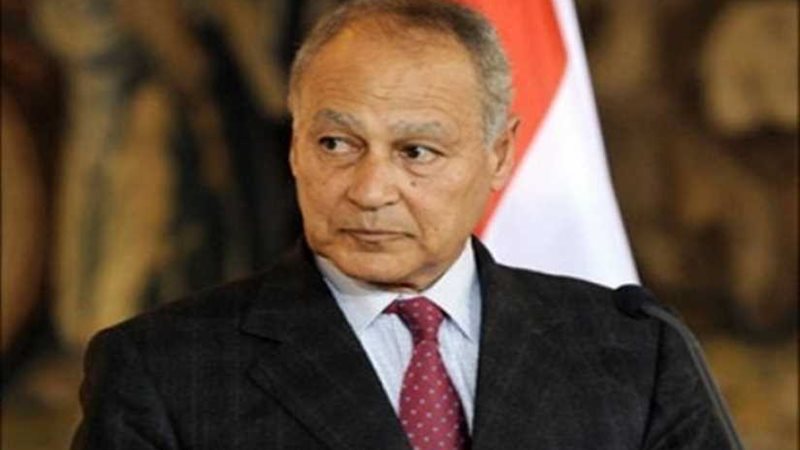 أبوالغيط يستقبل وفد