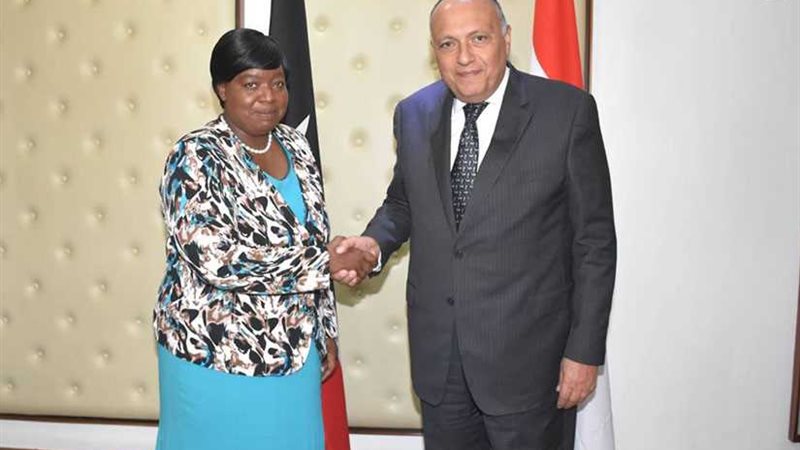 وزير الخارجية يبحث