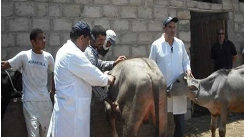 قوافل علاجية بيطرية