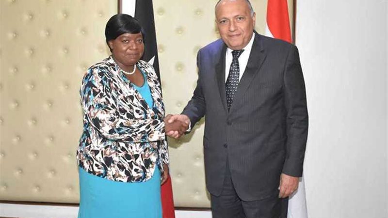 وزير الخارجية يبحث