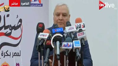 المصريون بالخارج يساهمون في بناء بلدهم عبر المشاركة في الانتخابات