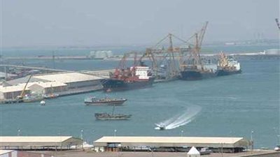 وصول 1046 رأس ماشية لغرب بورسعيد