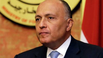 وزير الخارجية يستعرض الجهد المصري لدعم الجيش اللبناني