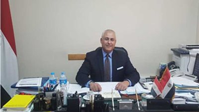 سفير مصر بسلطنة عمان يشيد بجهود الجالية المصرية في الانتخابات الرئاسية