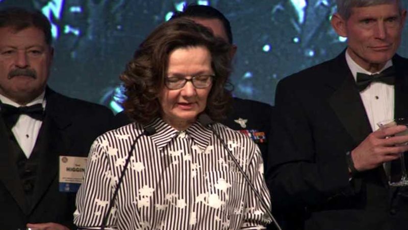 تاء التأنيث تعتلى