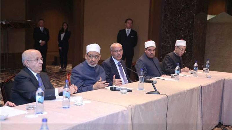 شيخ الأزهر يلتقي