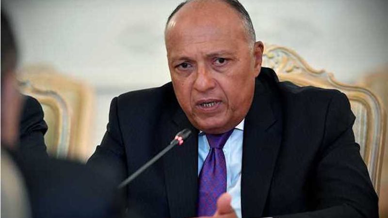 كلمة وزير الخارجية