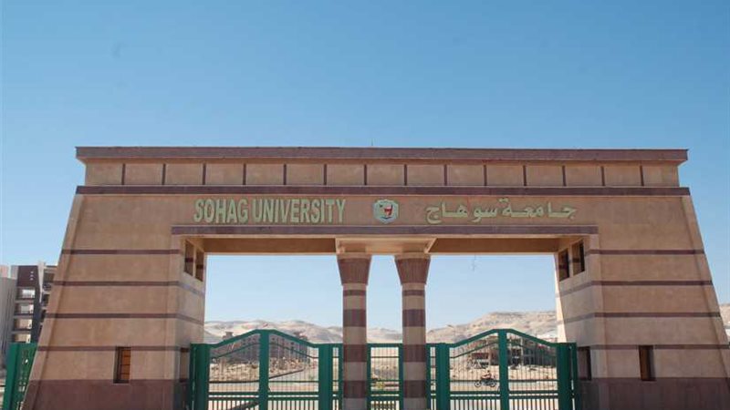 سبوبة جامعة سوهاج