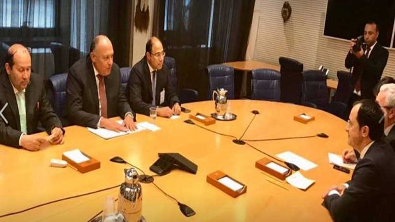 شكري يلتقي نظيره