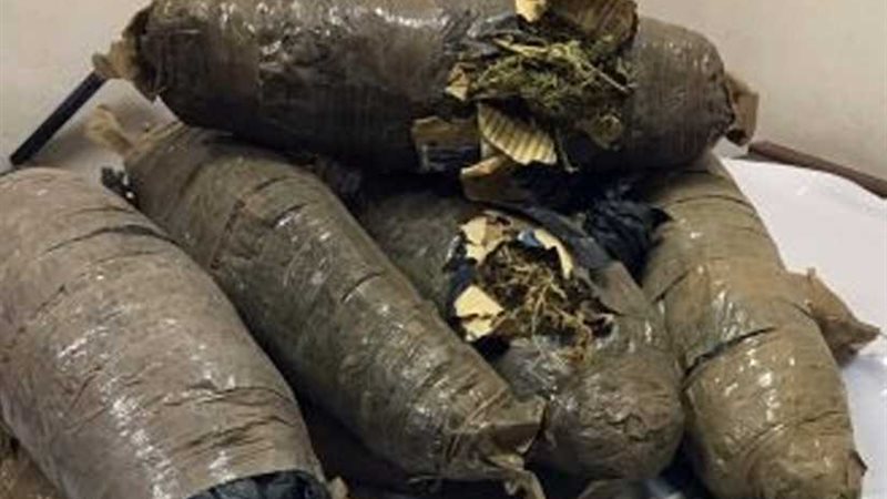 ضبط 5 كيلو بانجو