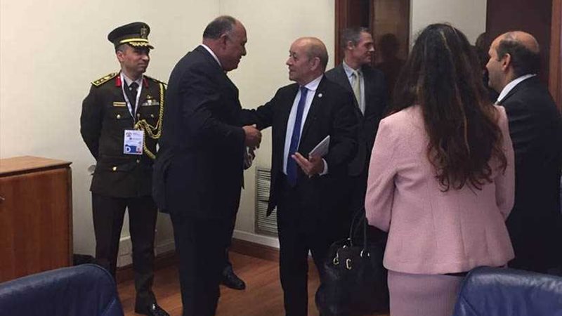 شكري  يلتقي وزير