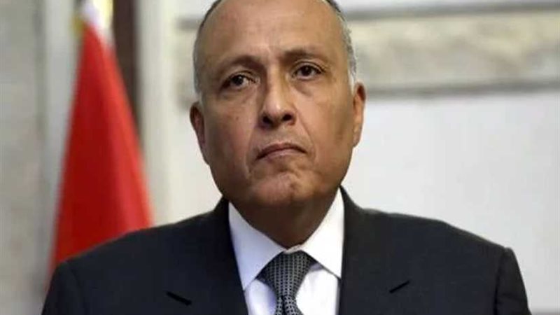 شكري يتفقد مقر اللجنة