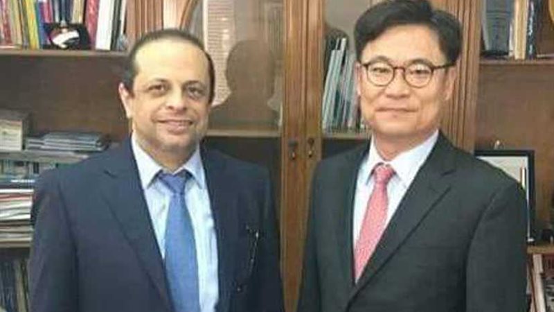 الثقافية المصرية