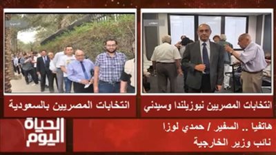 الخارجية: لم نتلقَّ تقارير عن معوقات تمنع المصريين من التصويت في قطر.. فيديو