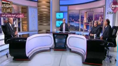 رئيس اتحاد المصريين في الخارج : 