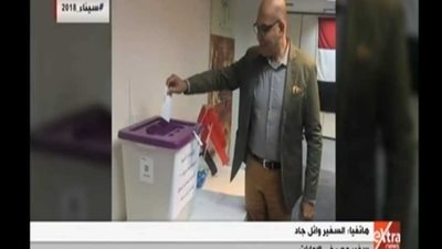 سفير مصر بالإمارات: المواطنون تواجدوا من قبل فتح اللجان (فيديو)