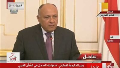 وزير الخارجية: مصر تعمل على توحيد الجيش الليبي 