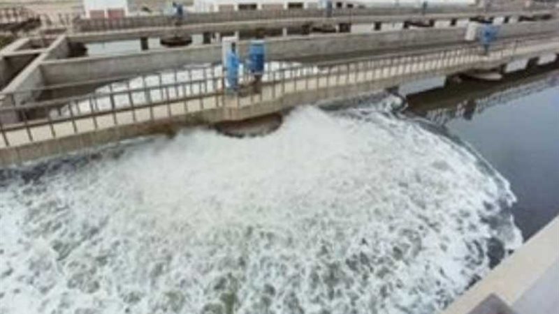 انطلاق فعاليات الأسبوع