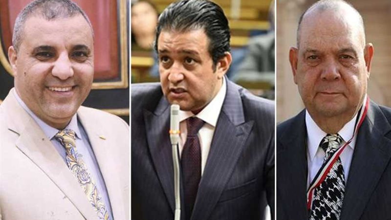 برلمانيون: مشاركة