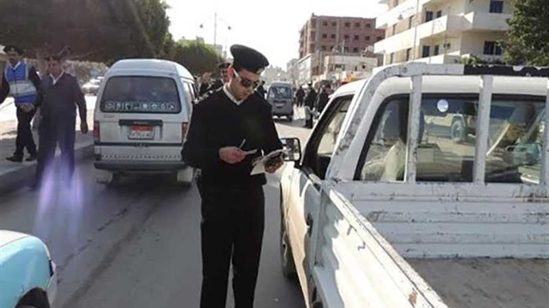 البحيرة.. تحرير 1051