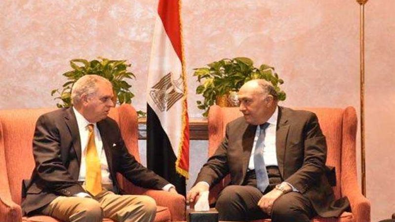 شكري يلتقي وفد الصندوق