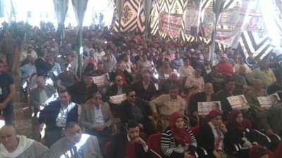 مؤتمر جماهيري حاشد بكفر الزيات لدعم 