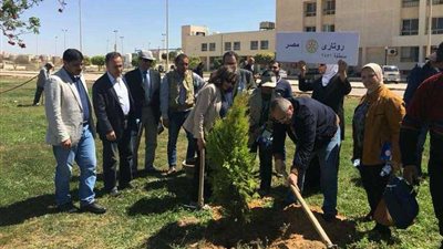 زراعة 600 شجرة مثمرة بــ