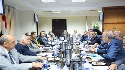 القليوبية تشارك في إعداد خطة التنمية المستدامة