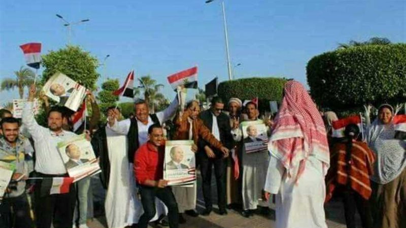 بالصور.. مسيرة تأييد