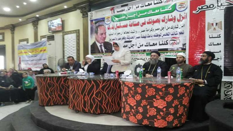 تضامن الدقهلية: المشاركة