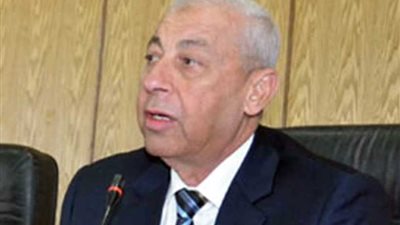 أسوان.. توفير 70 سيارة لنقل المواطنين بالقرى إلى لجان الانتخابات