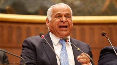 فرج عامر: جماهير الثغر سيلقنون الإرهابيين درسًا قاسيًا في الانتخابات