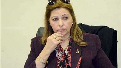 دفاع الخولي يطالب التنمية المحلية بتحديد اختصاصات موكلته