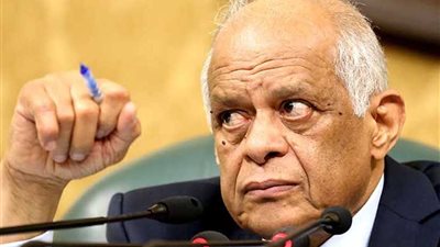 عبد العال: التدخل الأجنبي والإرهاب يستدعيان التضامن