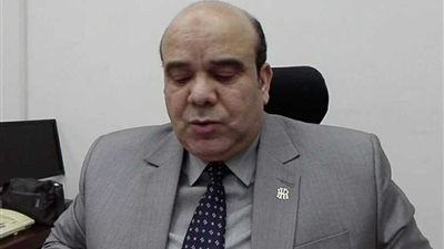 1150 قاضيا للإشراف على الانتخابات بالدقهلية