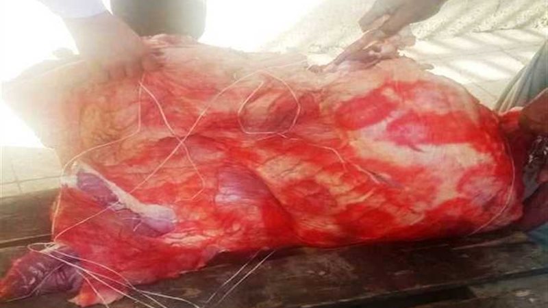 تموين سوهاج :ضبط