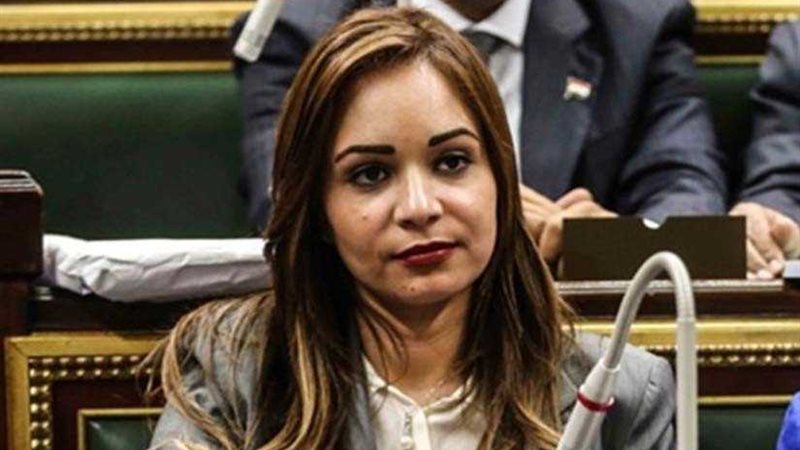 وكيلة مشروعات البرلمان: