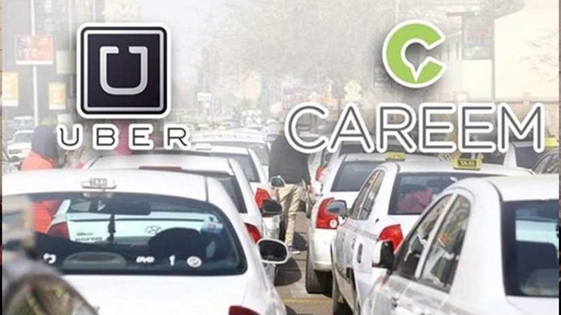 قضايا الدولة تطعن