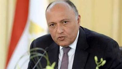 وزير الخارجية: دعوة السيسي لإحياء عملية السلام تنعش أمل الفلسطينيين في إقامة دولتهم