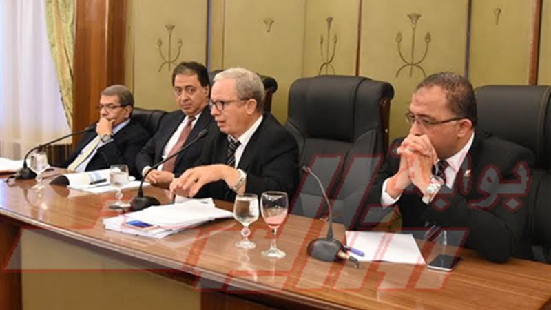 17 لجنة نوعية بالبرلمان