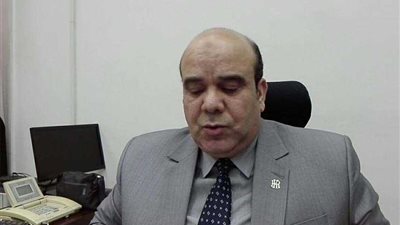 رئيس انتخابات الدقهلية: لم نتلق أي شكاوى أو تأخير باللجان