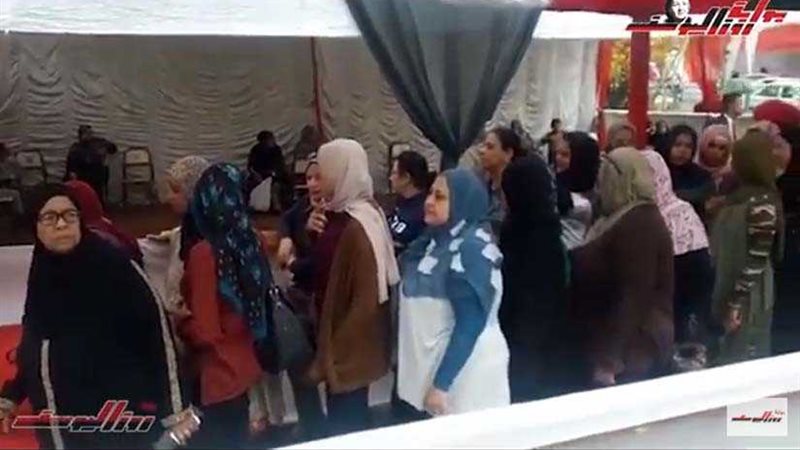 بالفيديو.. السيدات