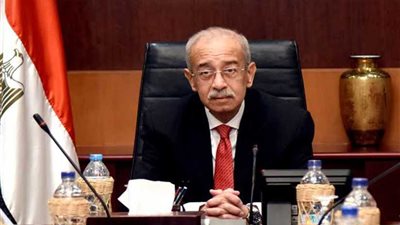 رئيس الوزراء: الانتخابات تسير بيسر وسهولة