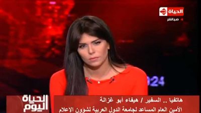 الجامعة العربية: لم نرصد أي تجاوزات في انتخابات الرئاسة المصرية.. فيديو