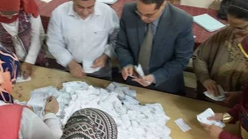 1733 صوتا للسيسي