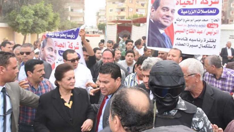 محافظ البحيرة تتفقد