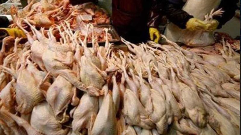 ضبط دجاج فاسد لتغذية