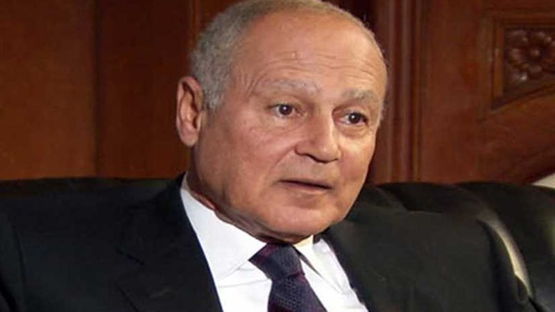 أبو الغيط يدين استشهاد