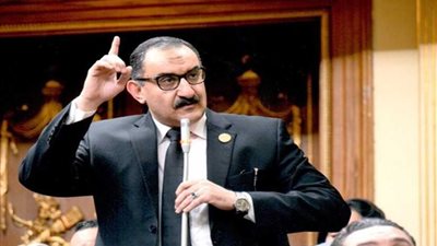 برلماني: وزير التنمية سيحاسب حسابًا عسيرًا وعليه تقديم استقالته (فيديو)