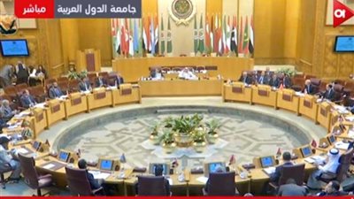 مندوب مصر بالجامعة العربية: نؤيد مشروع بيان الوفد الفلسطيني (فيديو)